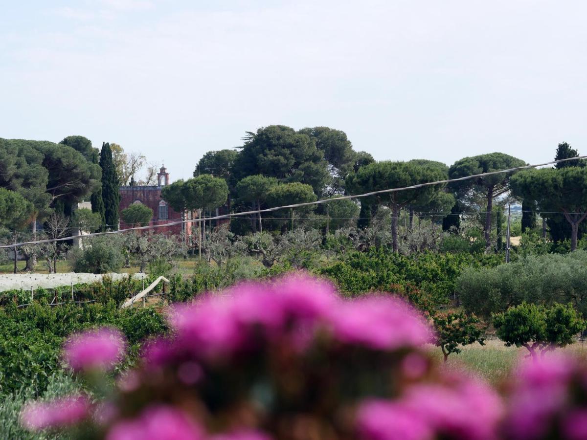 Villa Camilla Mola di Bari Exterior foto
